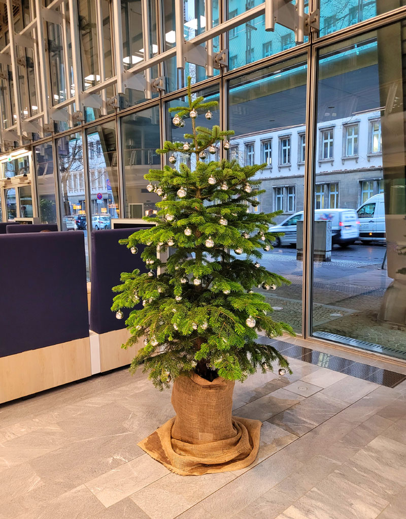 Ausstattung IHK Berlin mit nachhaltigen Weihnachtsbäumen